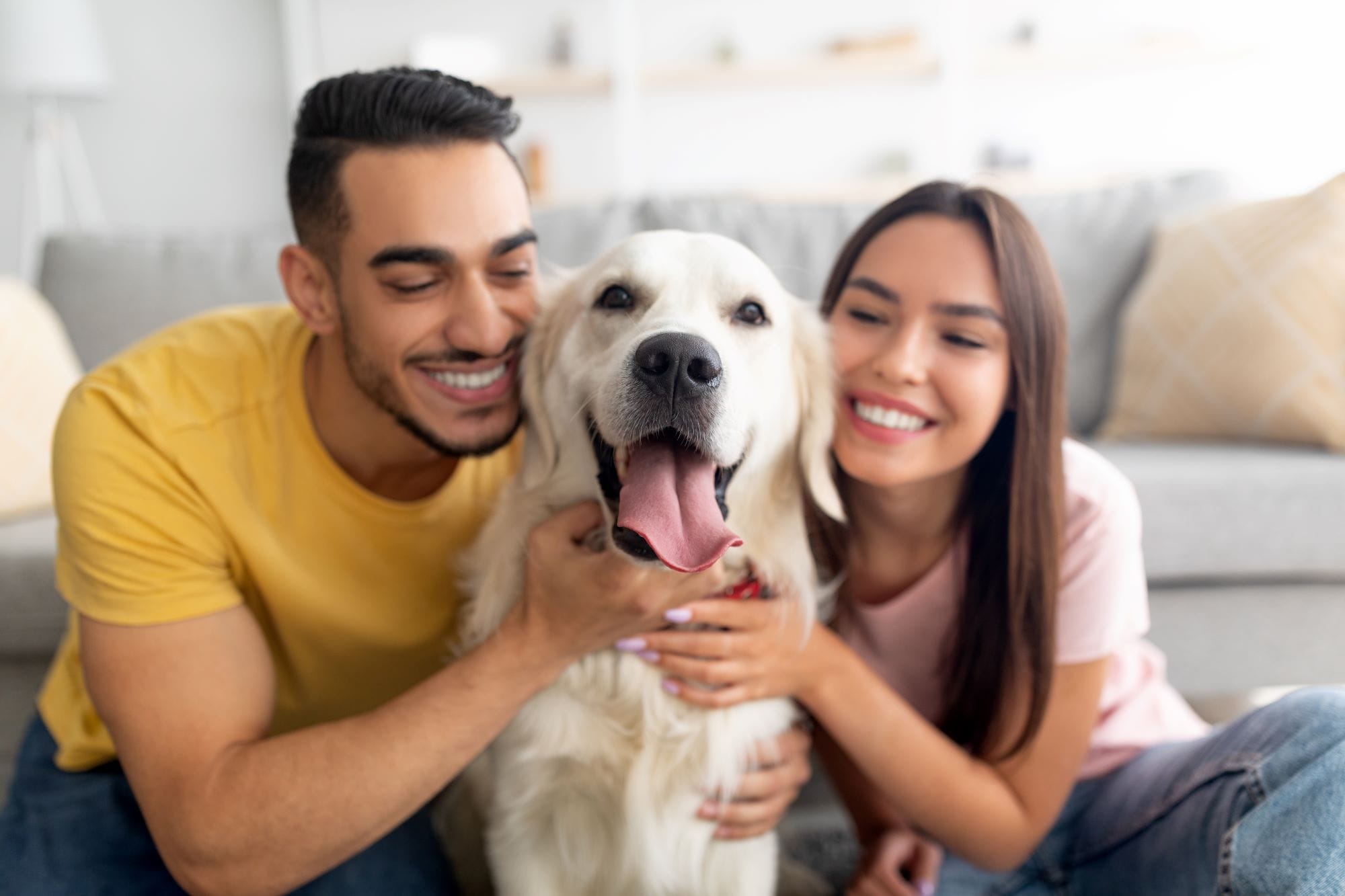 Seguros para mascotas Adeslas Seguro Adeslas para Mascotas con seguro de Responsabilidad civil