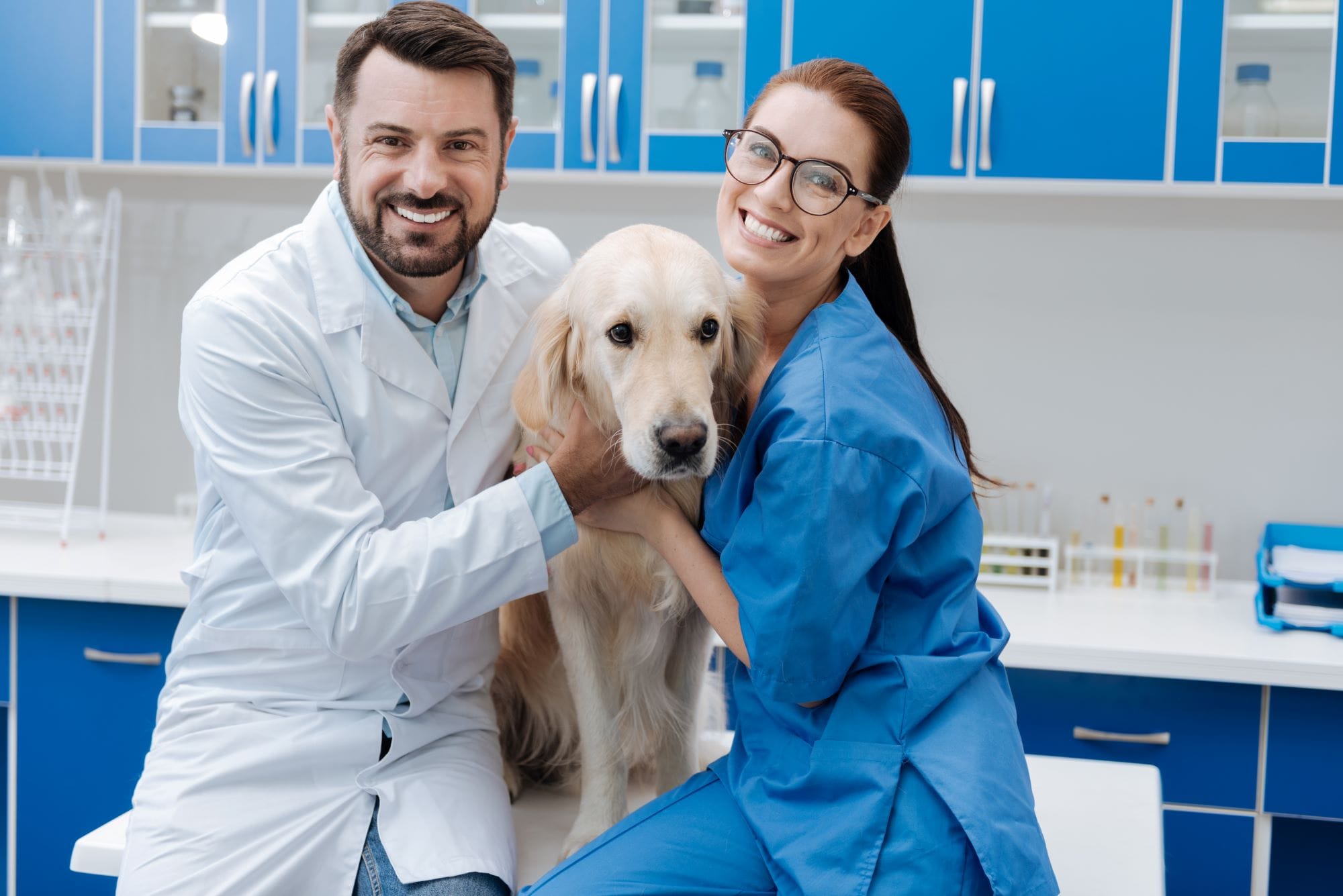 Seguro de Mascotas Adeslas con Seguro Veterinario Seguro de Mascotas Adeslas con Seguro Veterinario