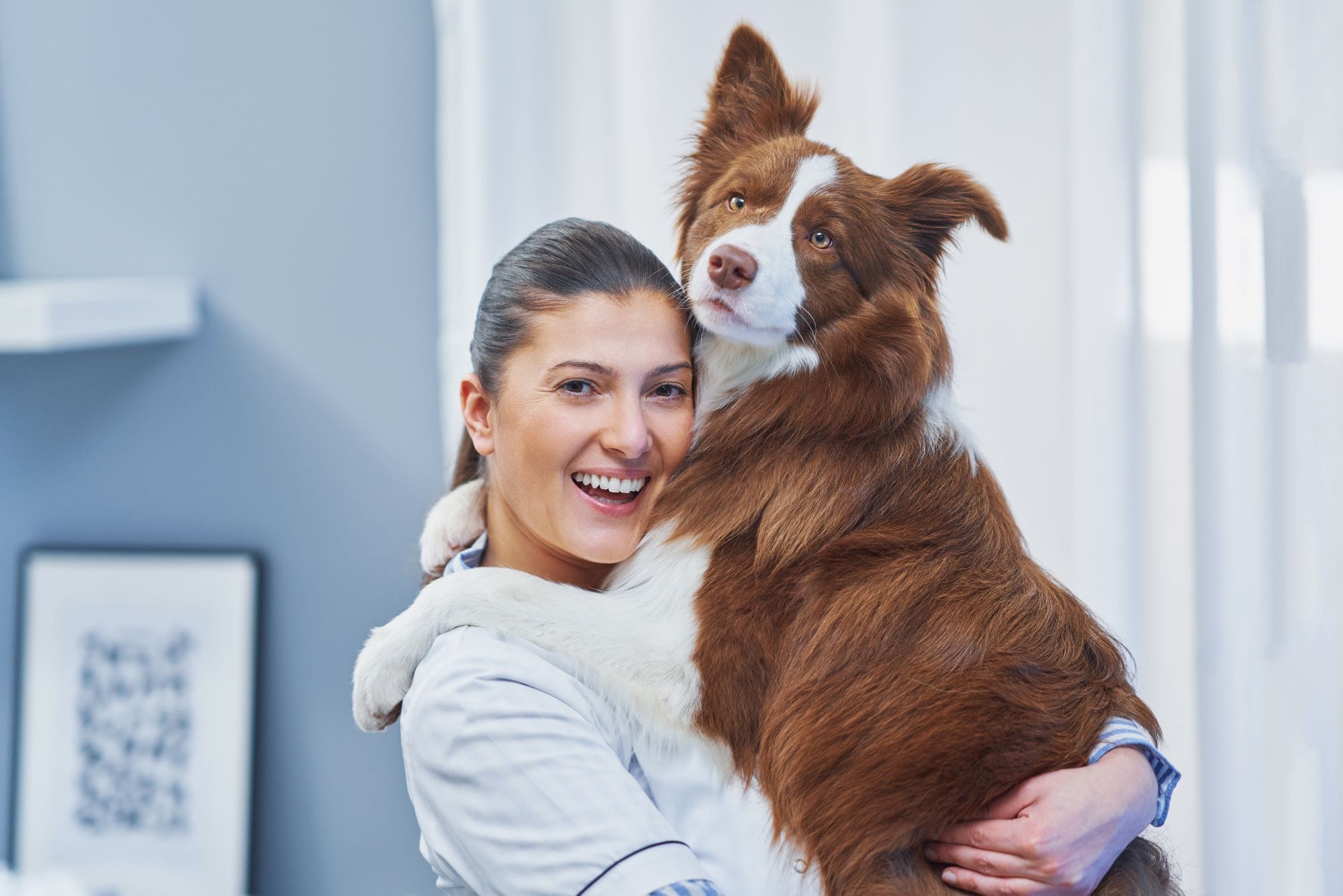 Seguros de Mascotas Adeslas Tu mascota merece todo tus cuidados