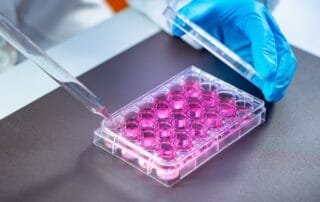 Medico de Seguro de Salud