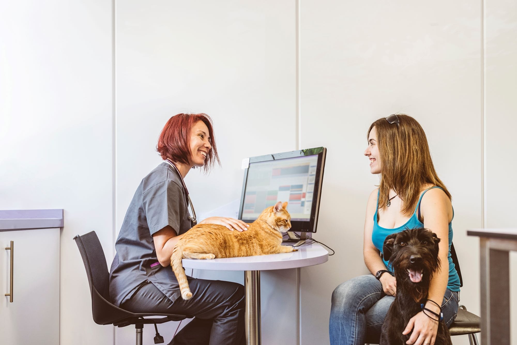 Adeslas Mascotas Completo: cuidado, prevención y respaldo económico Adeslas Mascotas Completo: cuidado, prevención y respaldo económico